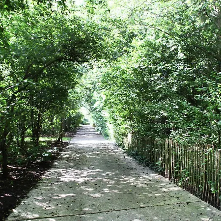 Lovely Near The Sea Daire