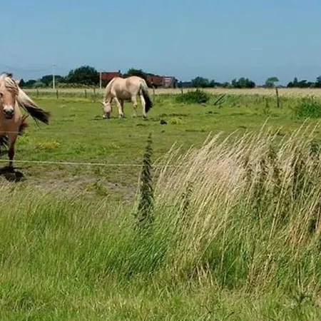 Lovely Near The Sea * Bredene